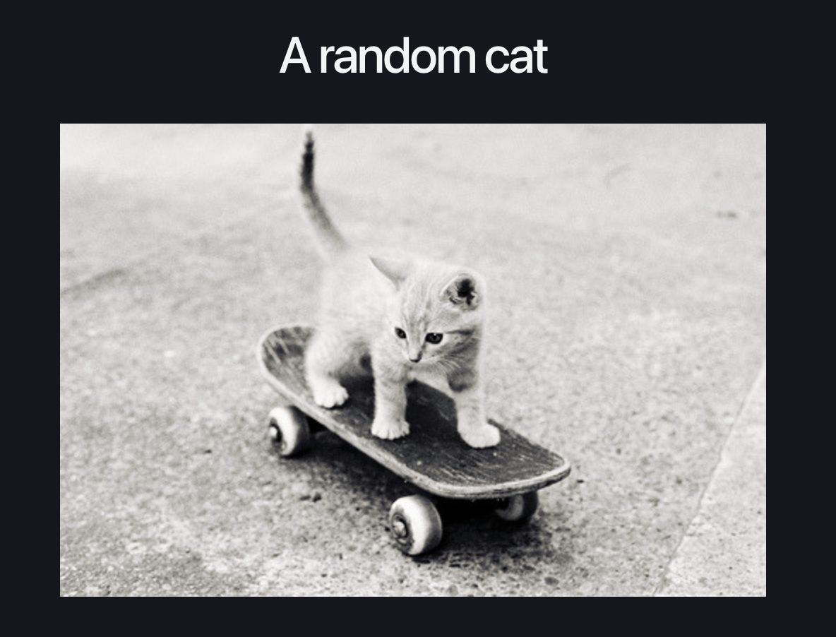 An adorable kitten on a skateboard