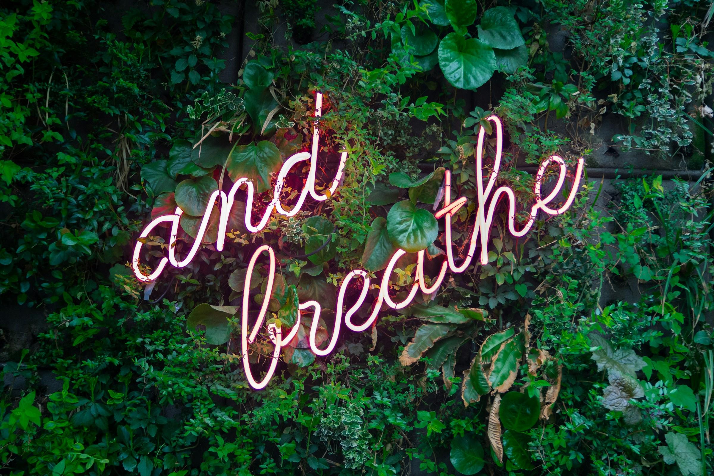 Self care, saying no and my AI experiment