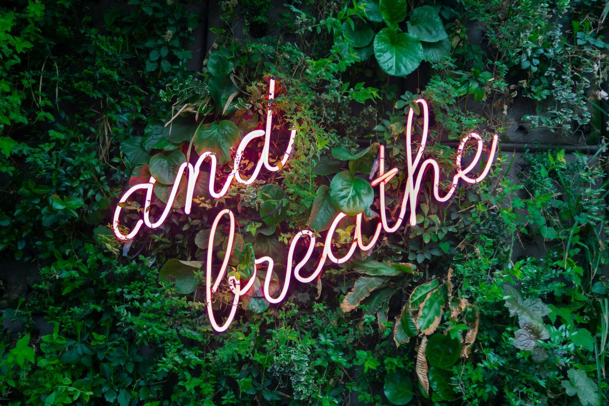 Self care, saying no and my AI experiment
